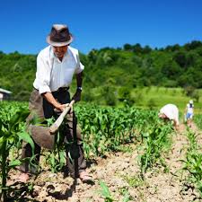 A agricultura familiar no Brasil - PixForce